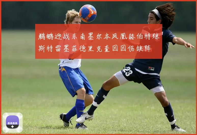 鹈鹕迎战东南墨尔本凤凰赫伯特琼斯特雷墨菲德里克奎因因伤缺阵