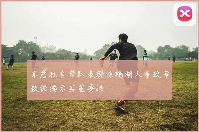东詹独自带队表现惊艳湖人净效率数据揭示其重要性