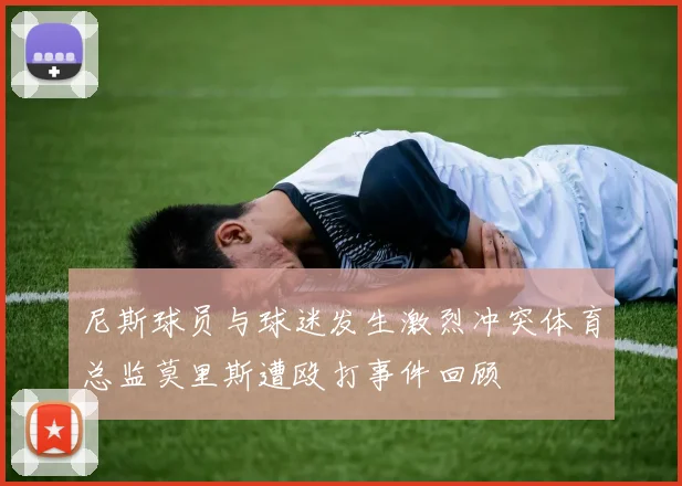 尼斯球员与球迷发生激烈冲突体育总监莫里斯遭殴打事件回顾