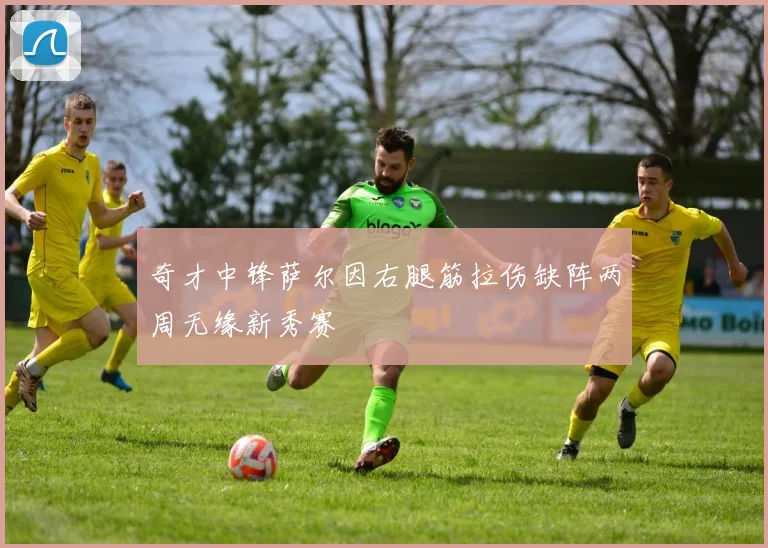 奇才中锋萨尔因右腿筋拉伤缺阵两周无缘新秀赛