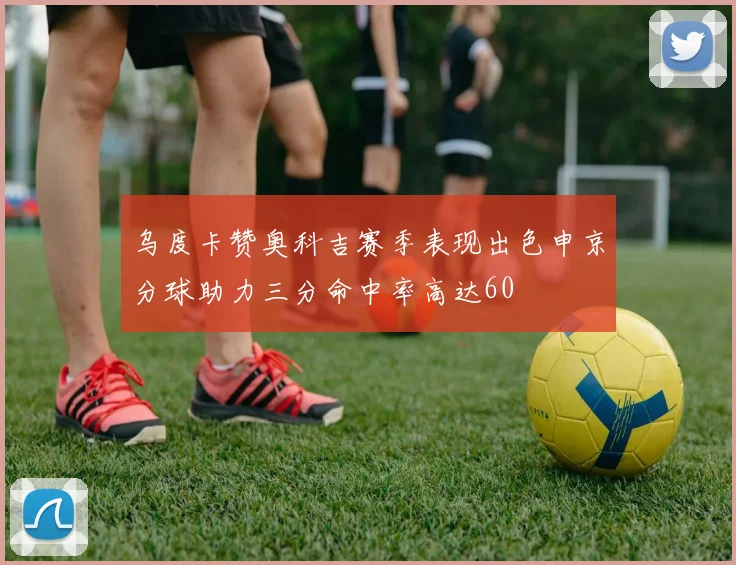 乌度卡赞奥科吉赛季表现出色申京分球助力三分命中率高达60